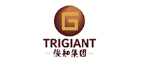 俊知集团有限公司-海内5G建设的代表企业